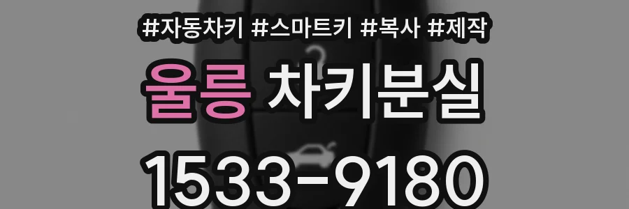 울릉 차키분실