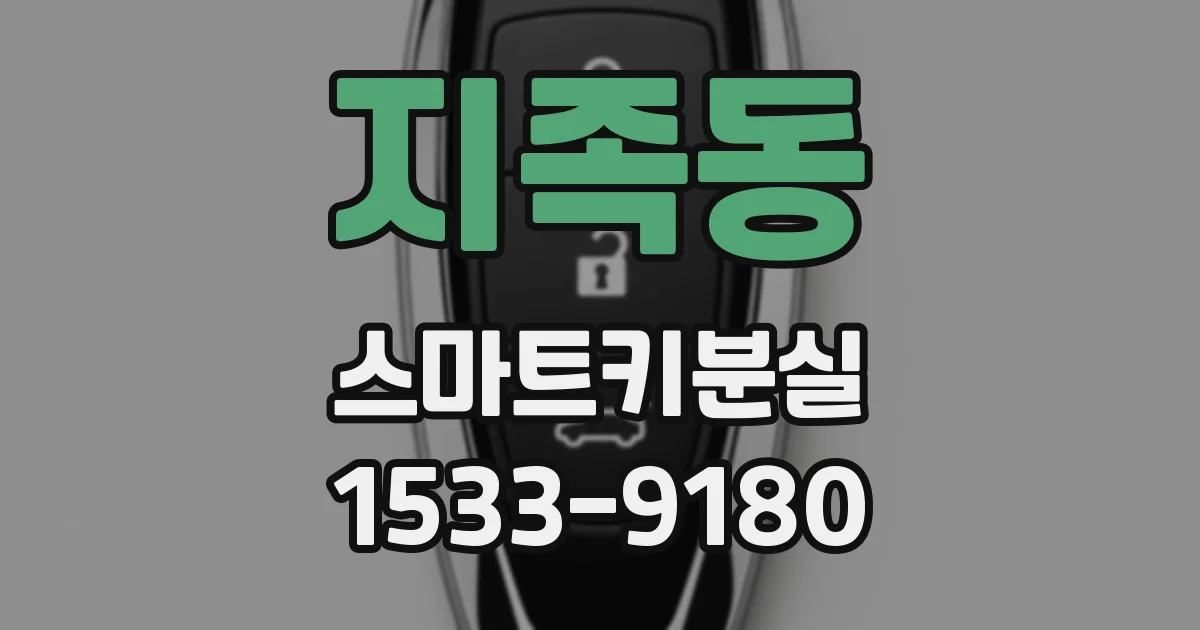 지족동 스마트키분실