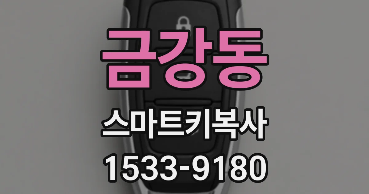 금강동 스마트키복사