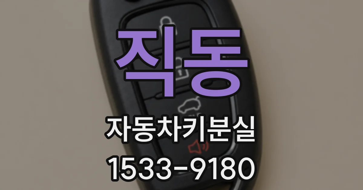 직동 자동차키분실
