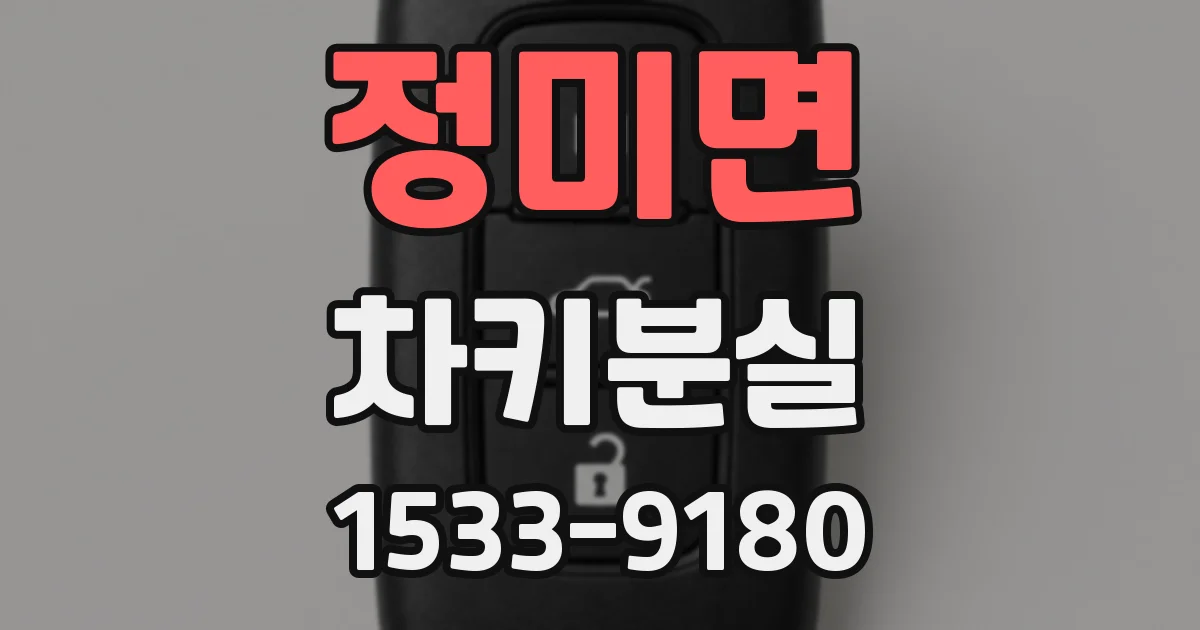 정미면 차키분실
