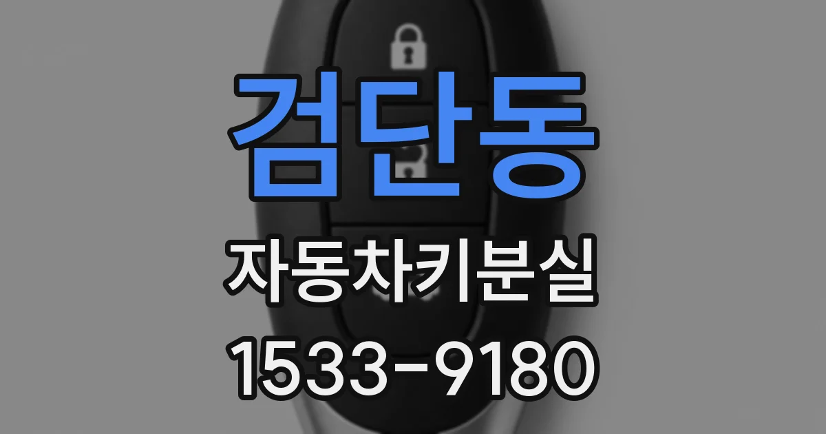 검단동 자동차키분실