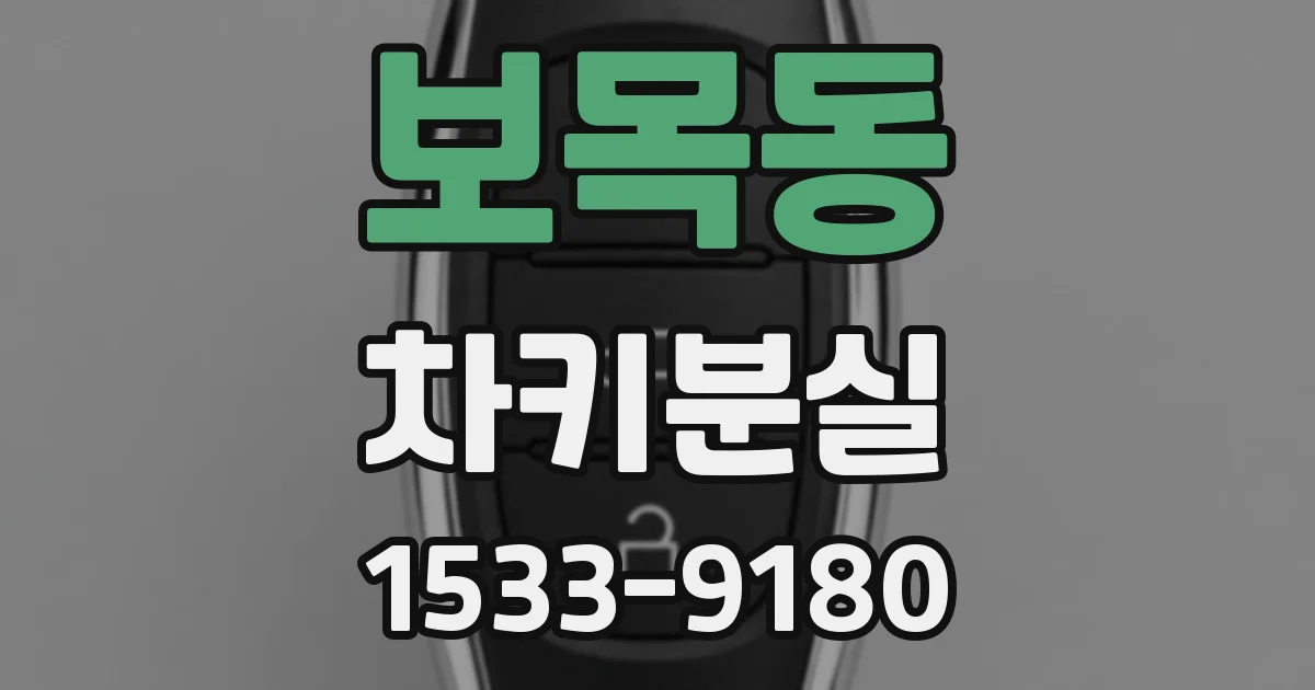 보목동 차키분실