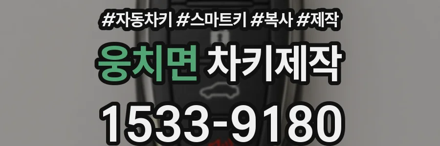 웅치면 차키제작