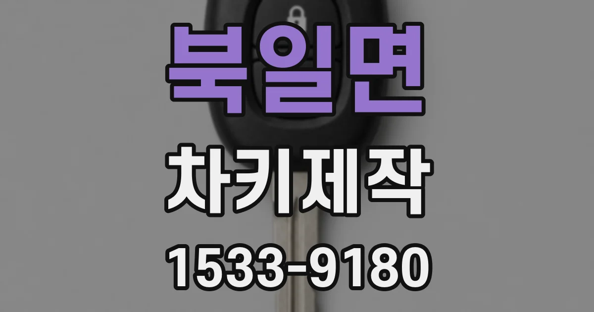 북일면 차키제작
