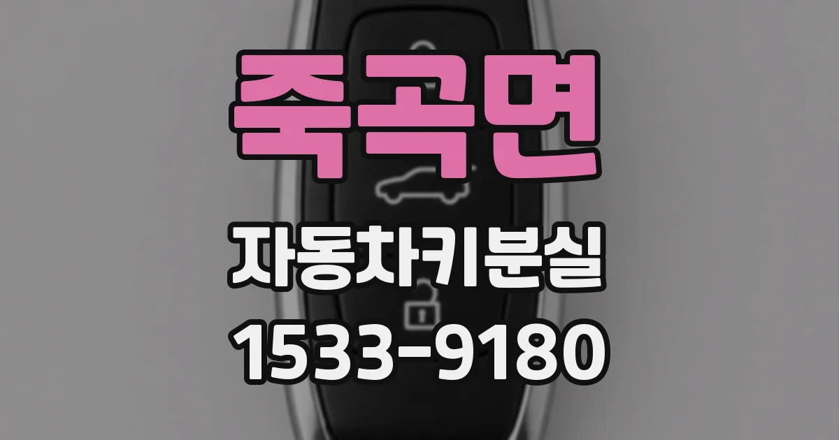 죽곡면 자동차키분실