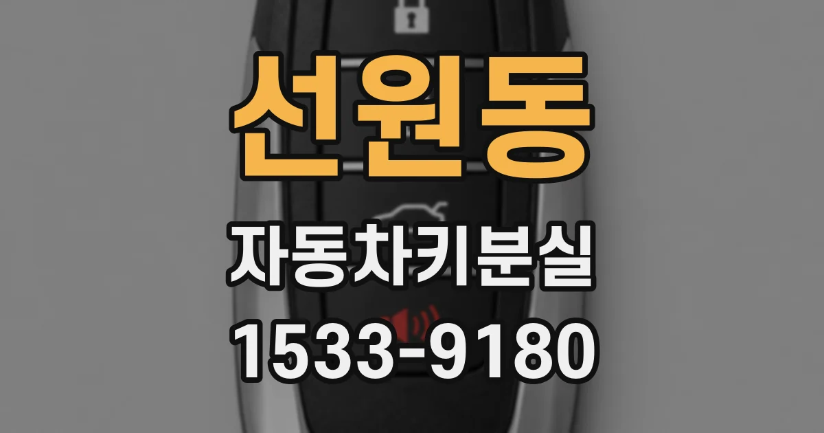 선원동 자동차키분실