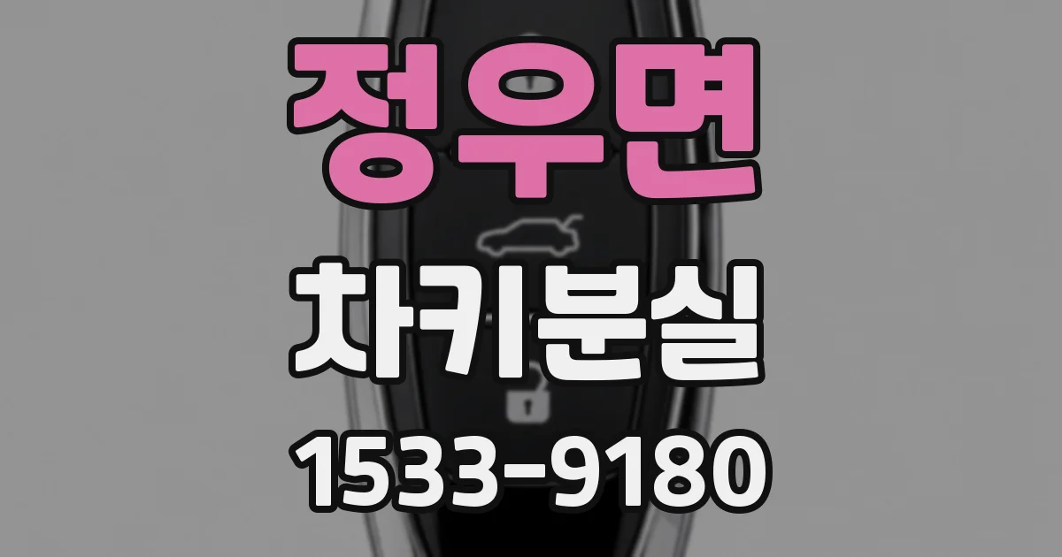 정우면 차키분실