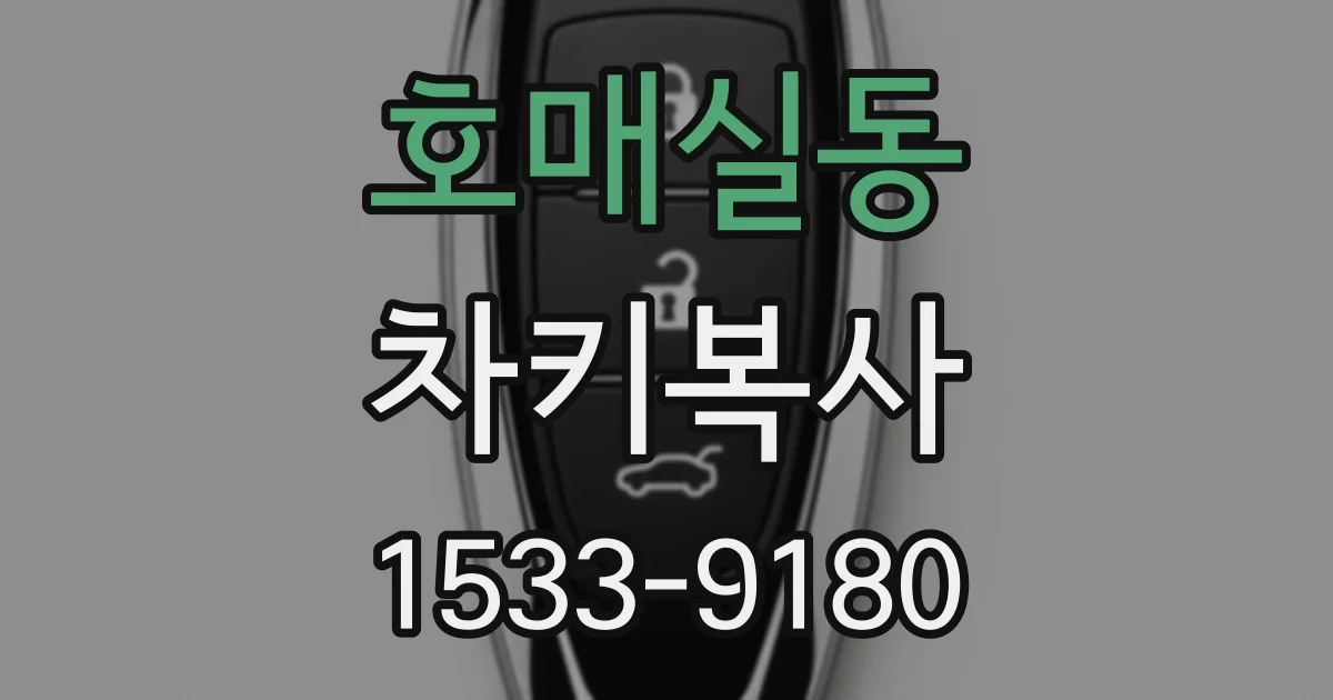 호매실동 차키복사