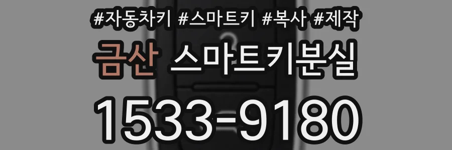 금산 스마트키분실