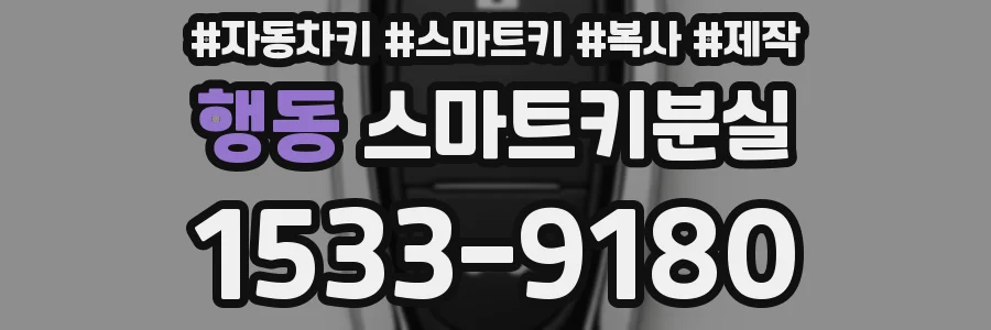 행동 스마트키분실