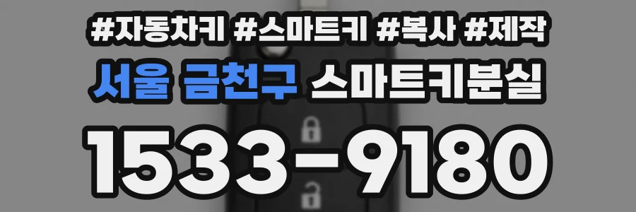 서울 금천구 스마트키분실