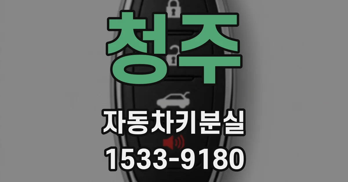 청주 자동차키분실