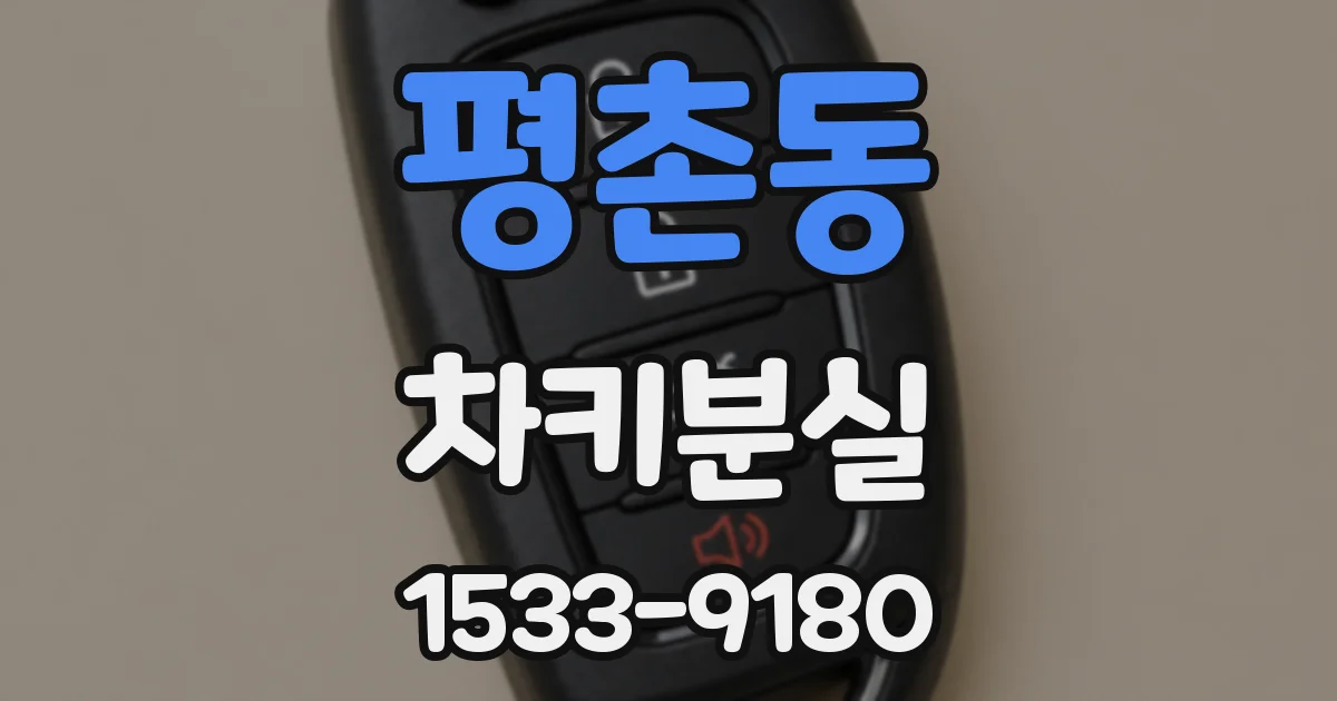 평촌동 차키분실