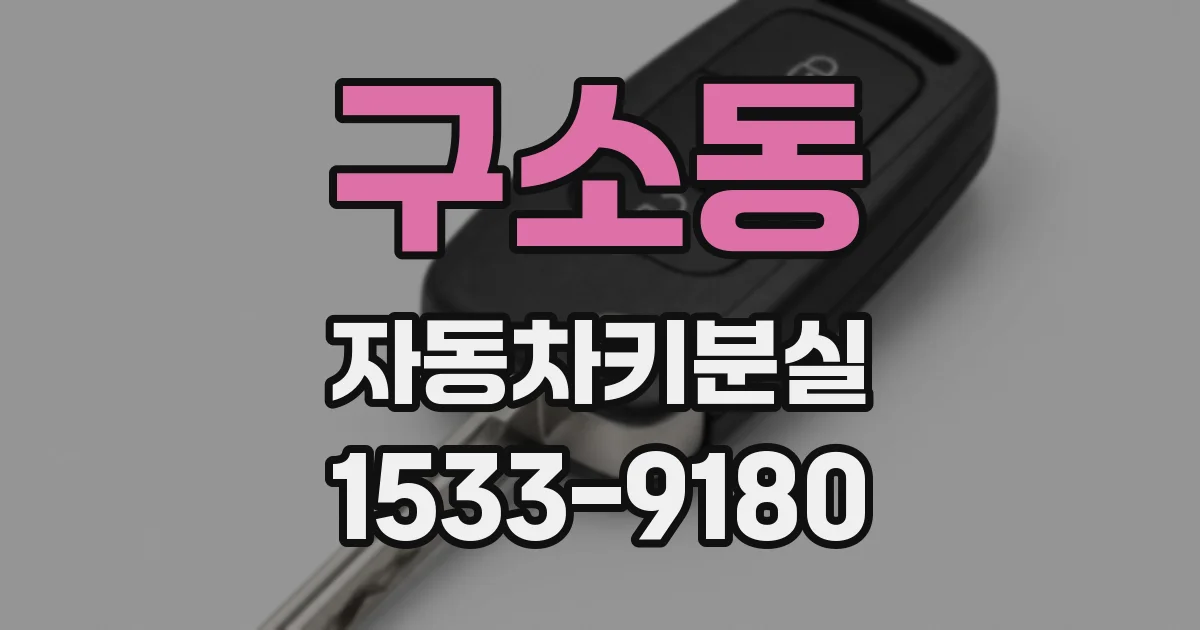 구소동 자동차키분실