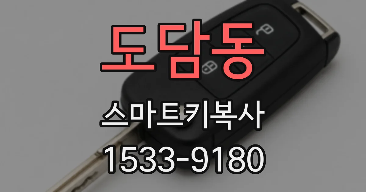 도담동 스마트키복사
