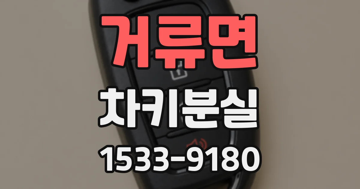 거류면 차키분실