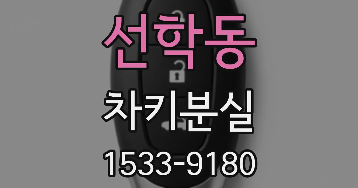 선학동 차키분실