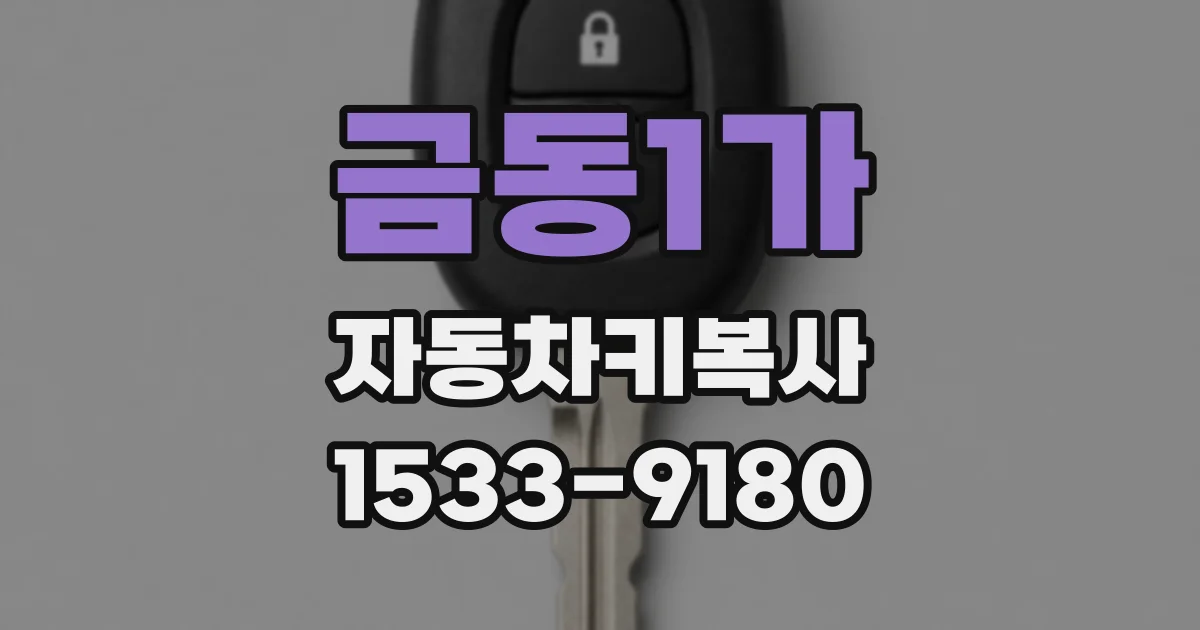 금동1가 자동차키복사