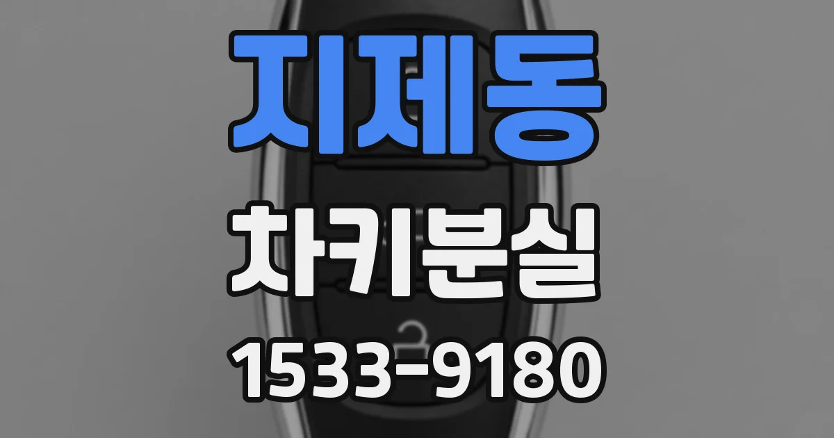 지제동 차키분실