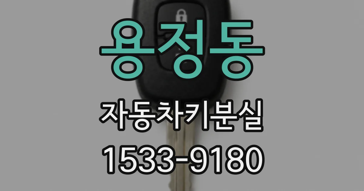 용정동 자동차키분실