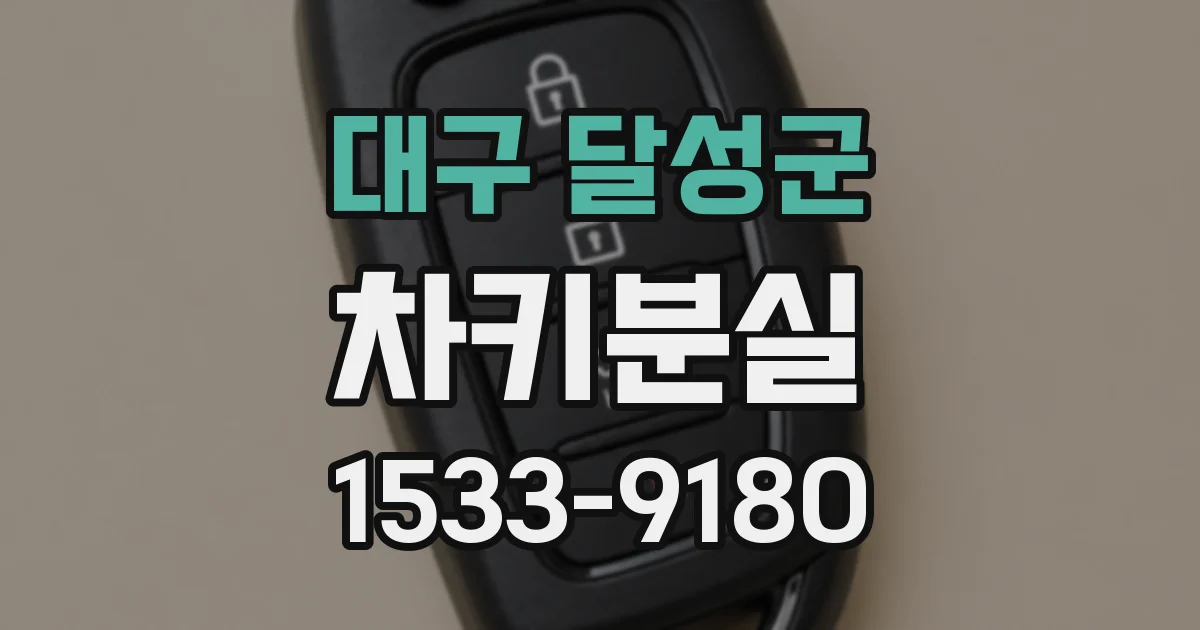 대구 달성군 차키분실