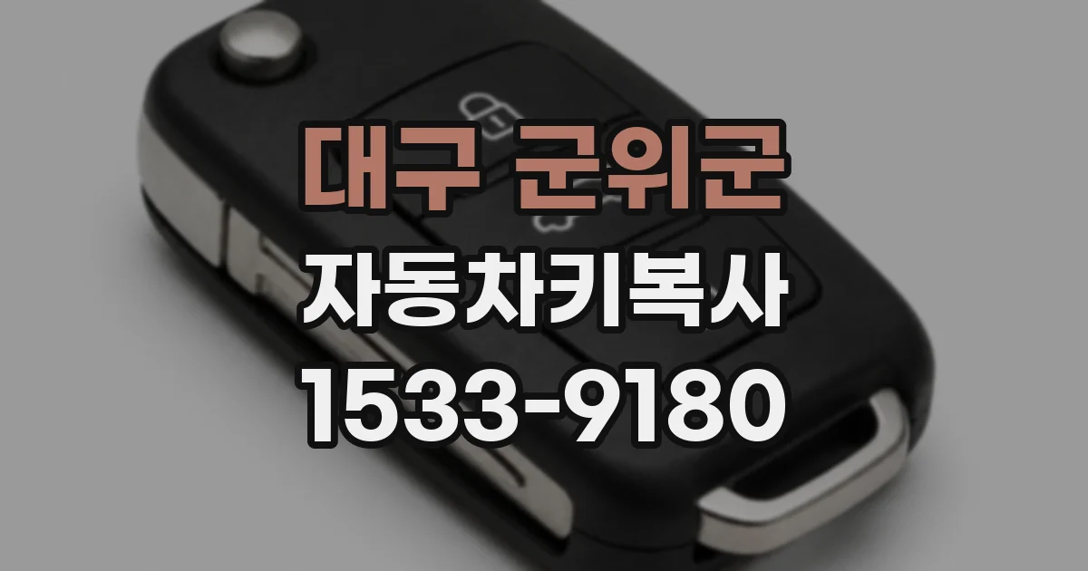 대구 군위군 자동차키복사