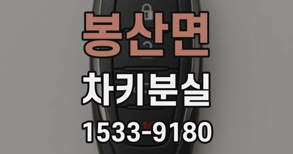 봉산면 차키분실