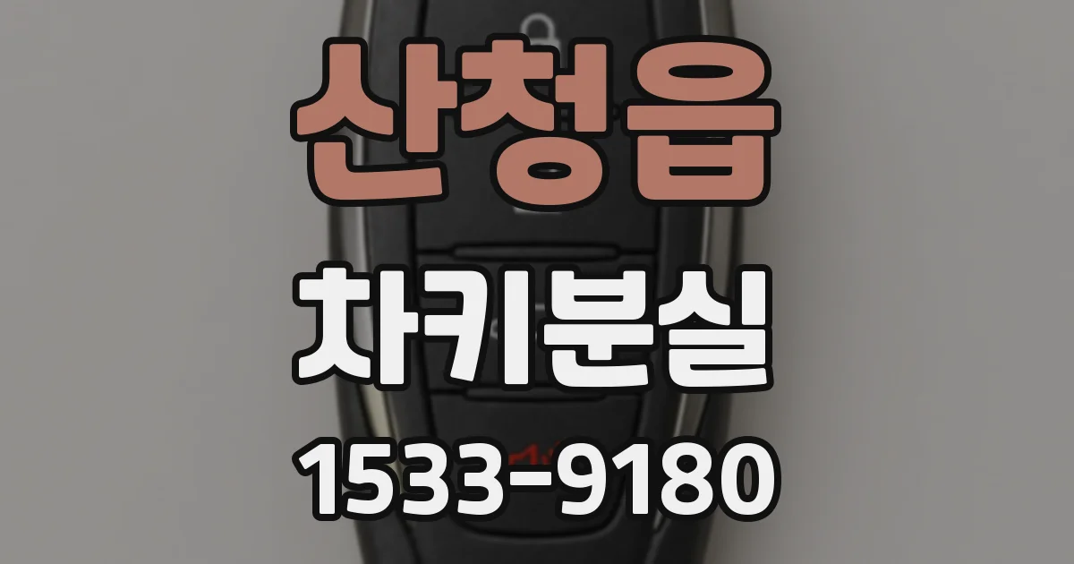 산청읍 차키분실