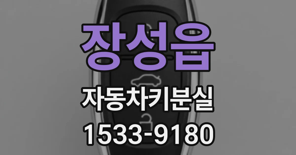 장성읍 자동차키분실