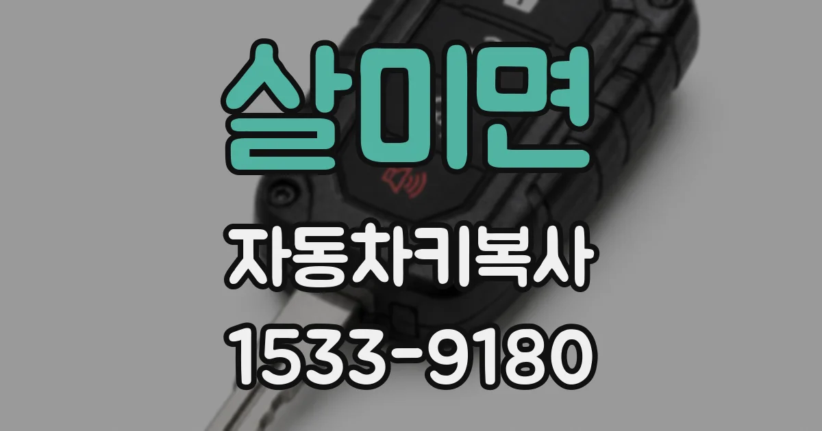 살미면 자동차키복사