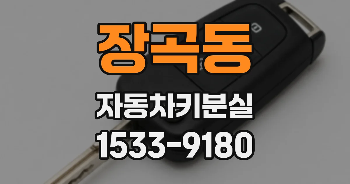 장곡동 자동차키분실