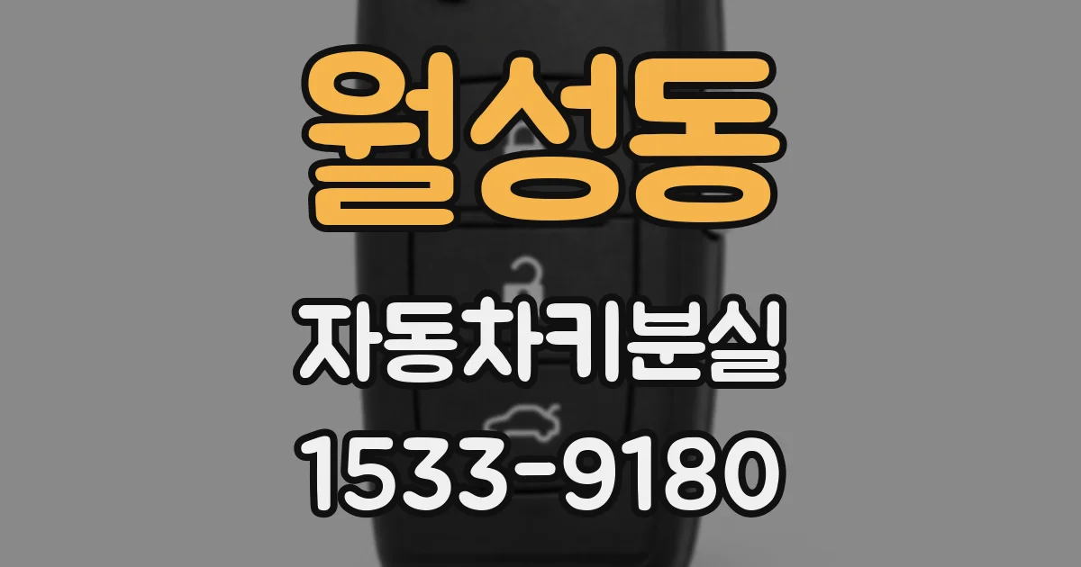 월성동 자동차키분실