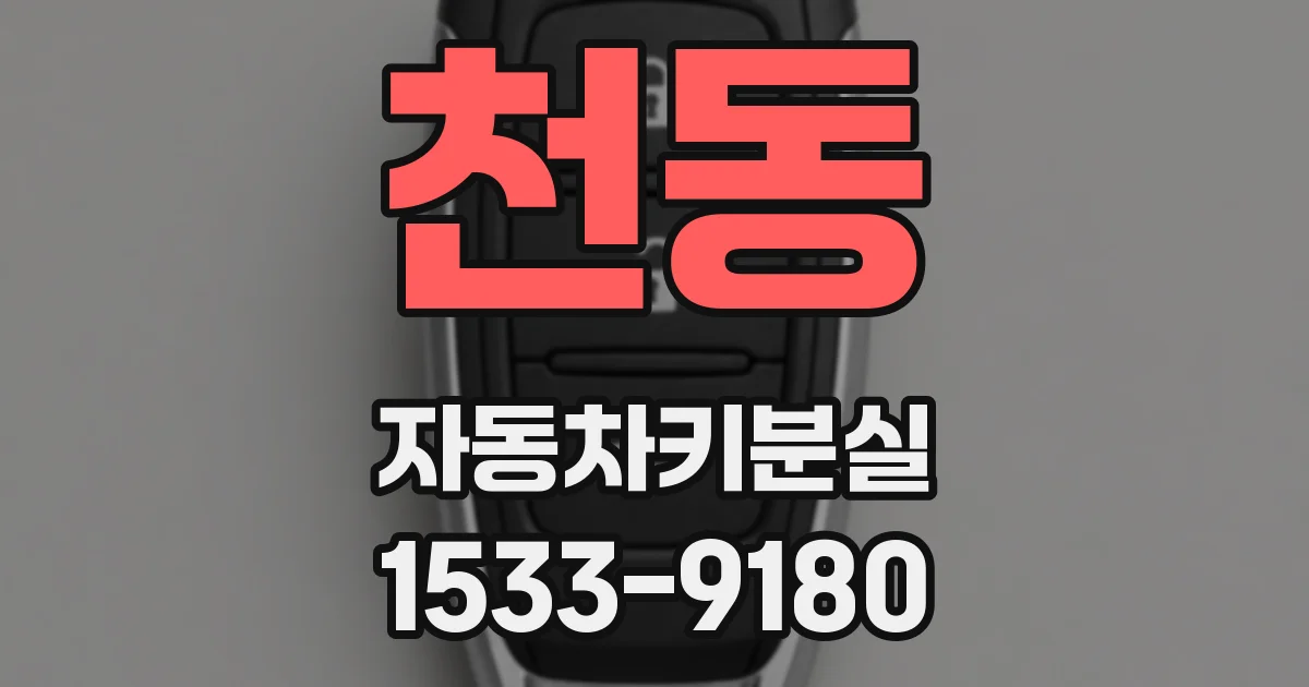 천동 자동차키분실