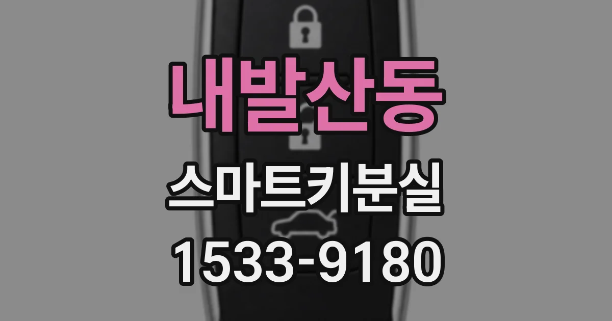내발산동 스마트키분실