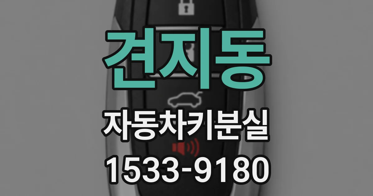 견지동 자동차키분실