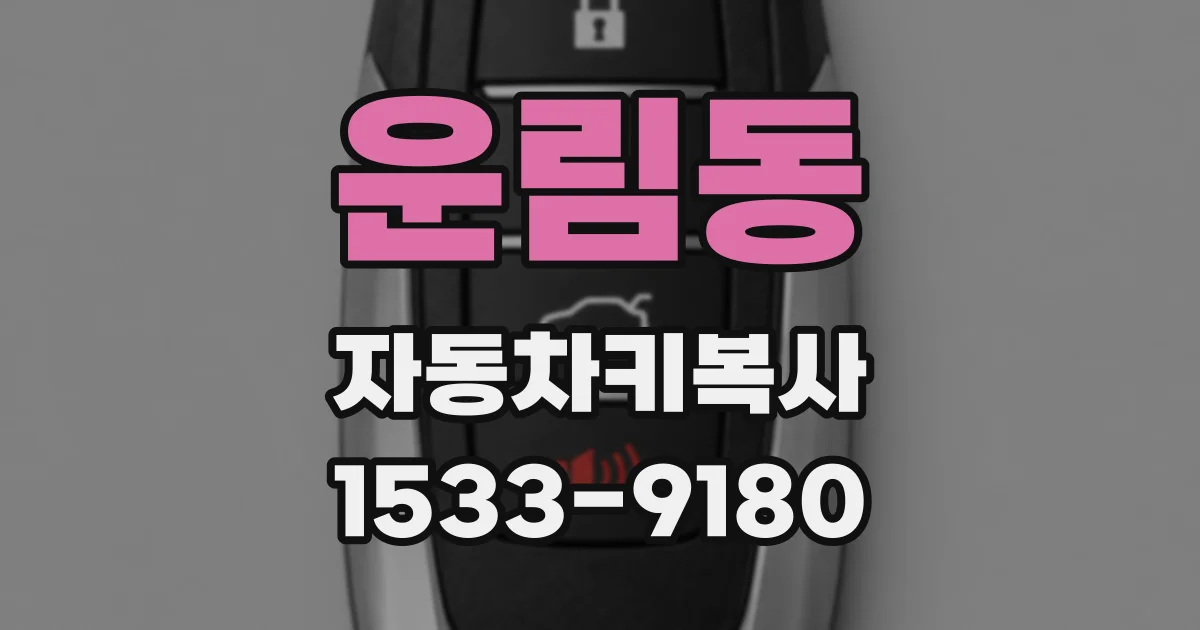 운림동 자동차키복사