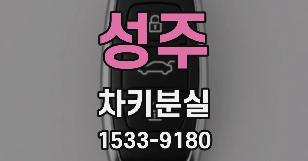 성주 차키분실