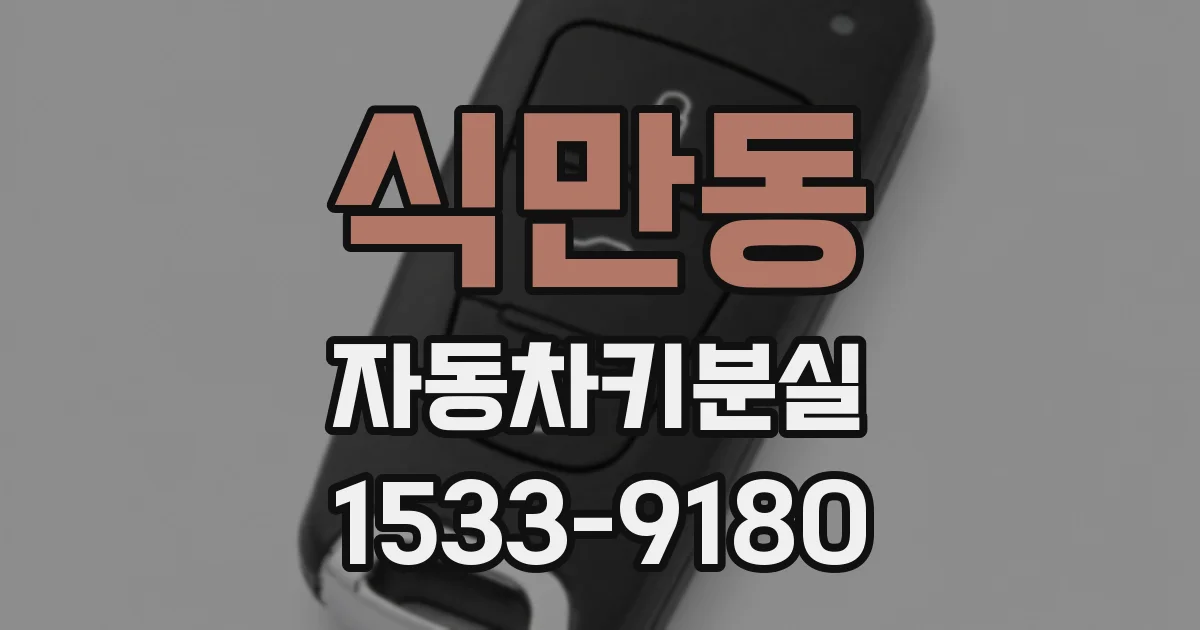 식만동 자동차키분실
