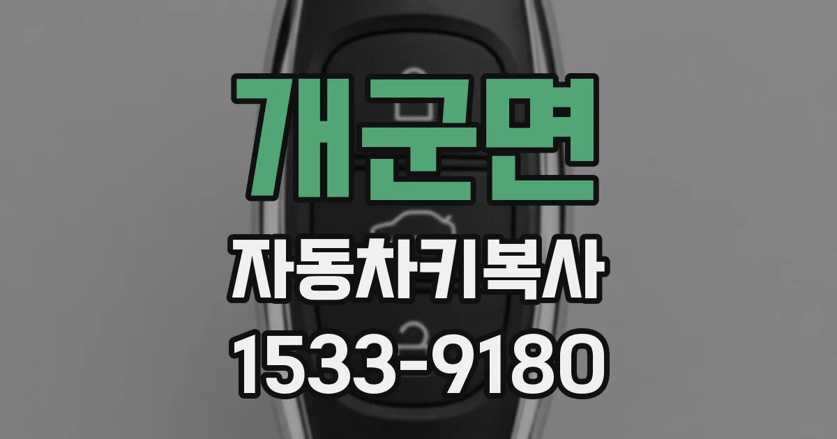개군면 자동차키복사