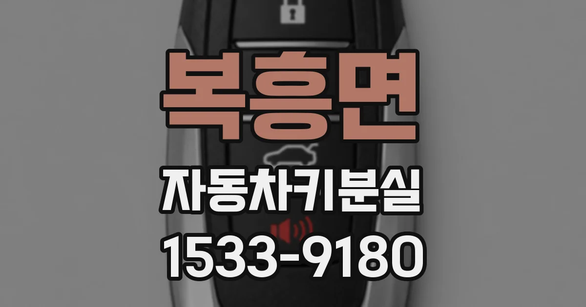 복흥면 자동차키분실