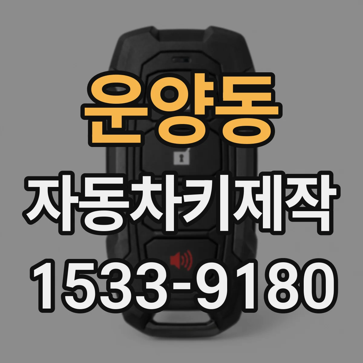 운양동 자동차키제작