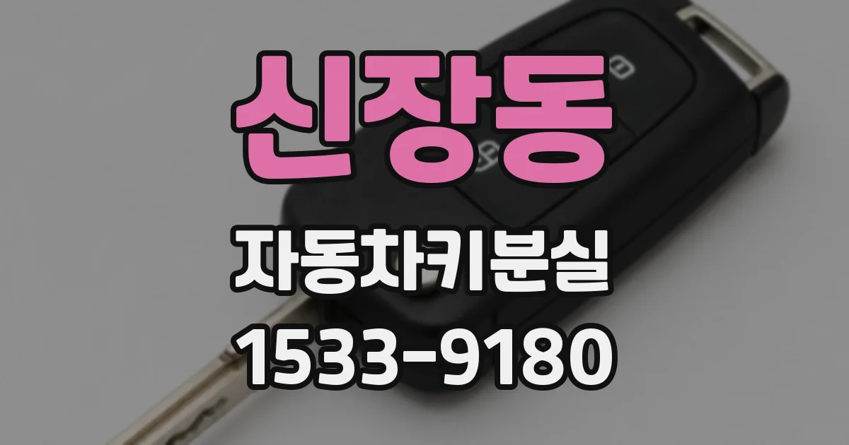 신장동 자동차키분실