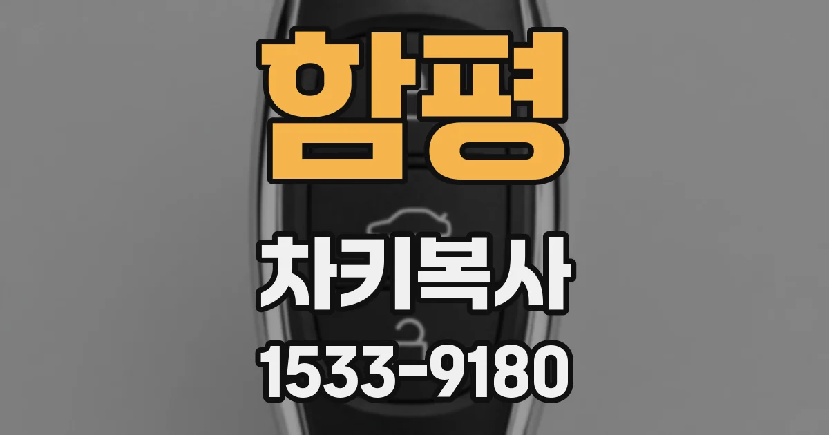 함평 차키복사