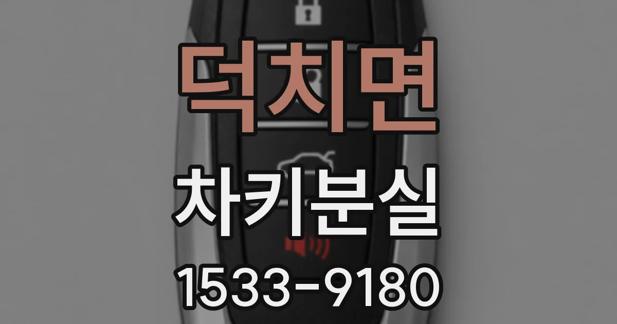 덕치면 차키분실
