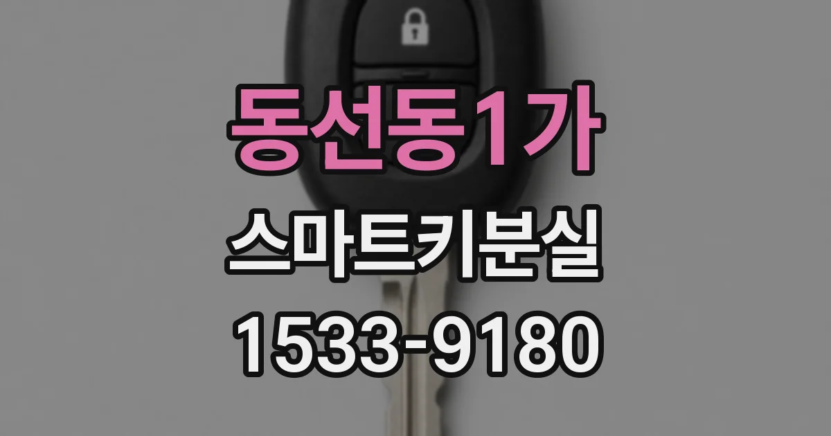 동선동1가 스마트키분실