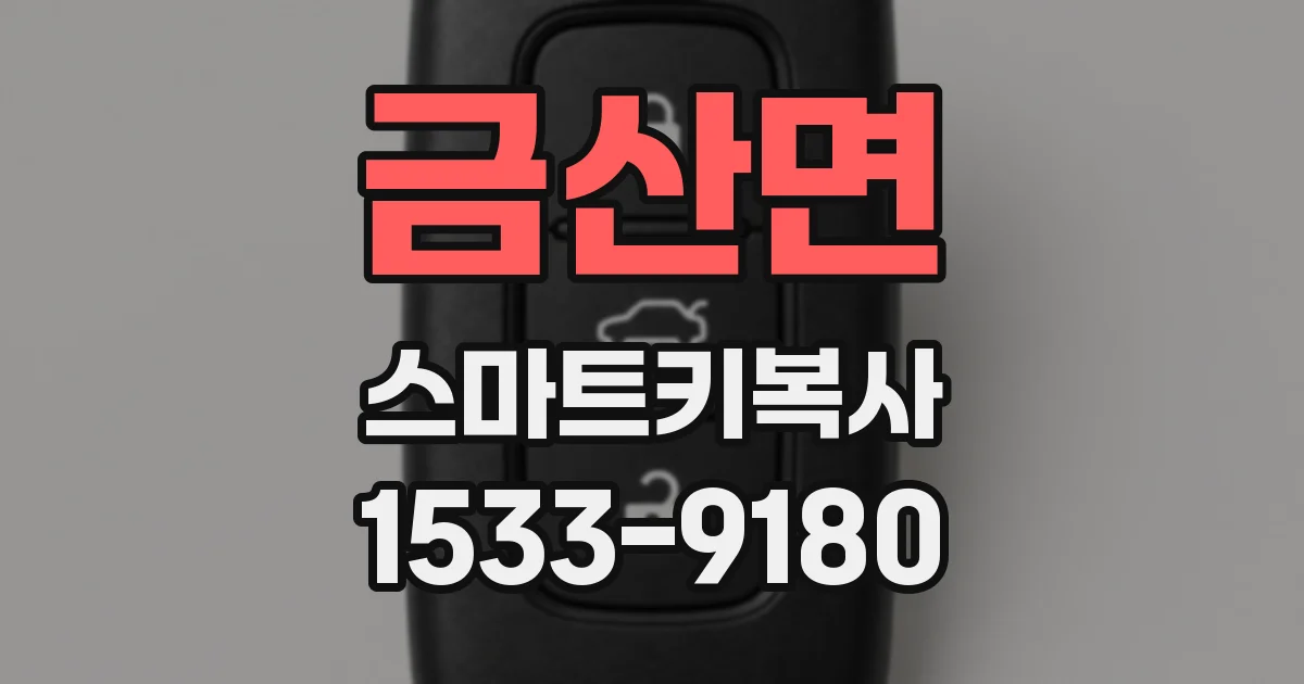 금산면 스마트키복사