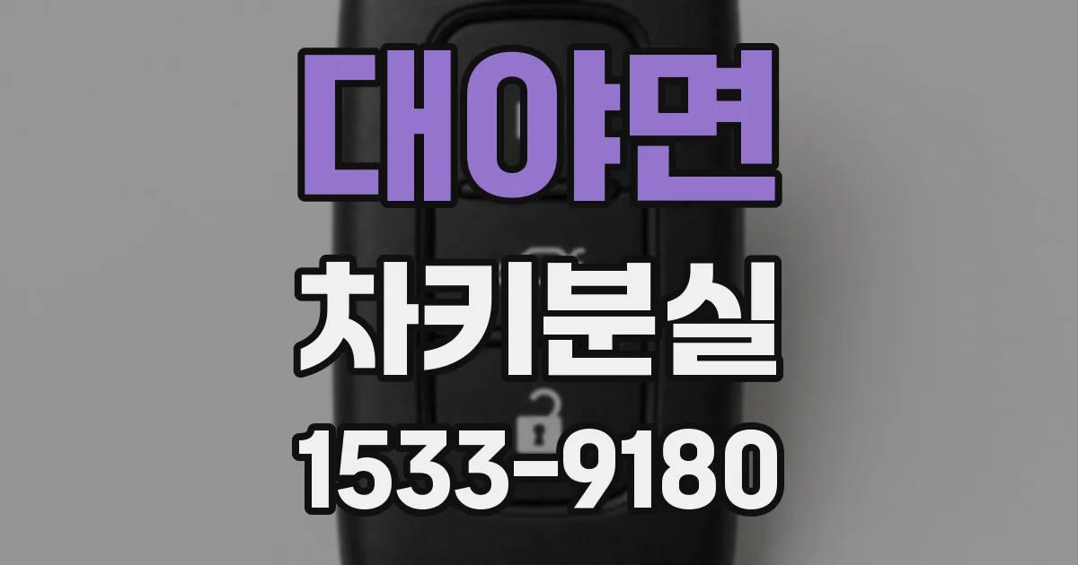 대야면 차키분실