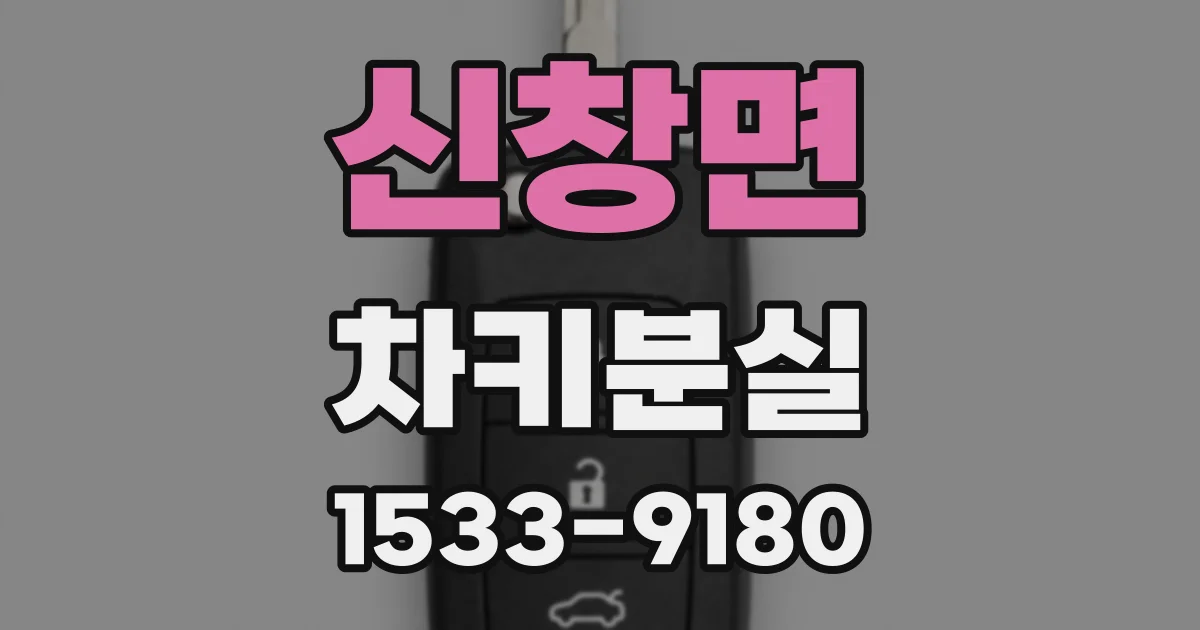 신창면 차키분실