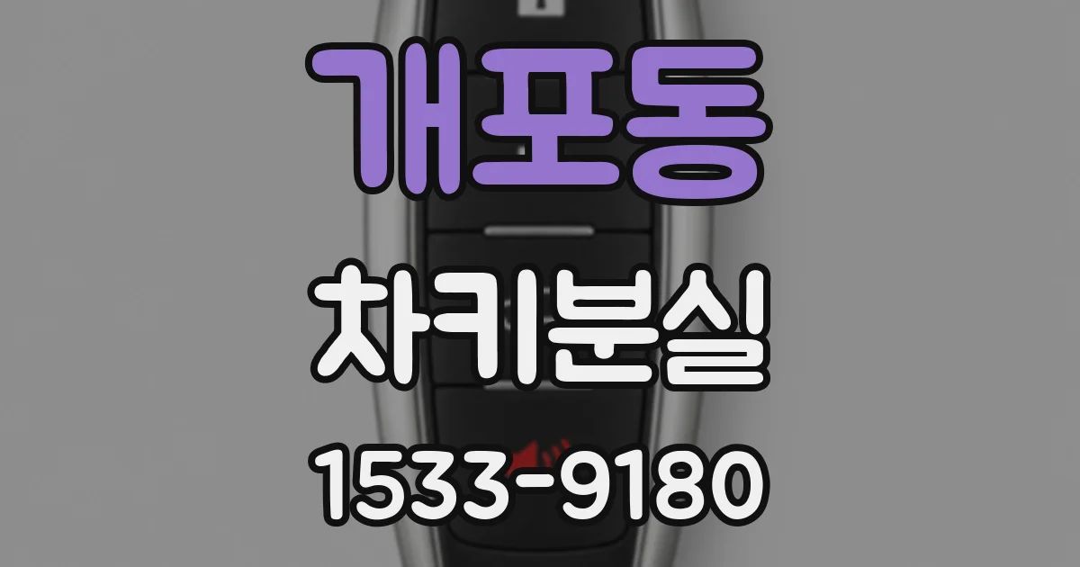개포동 차키분실